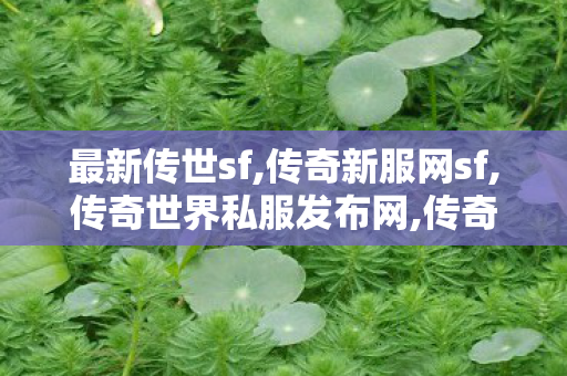 最新传世sf,传奇新服网sf,传奇世界私服发布网,传奇新服网sf