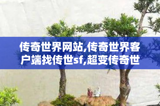 传奇世界网站,传奇世界客户端	找传世sf,超变传奇世界私服网,传奇世界客户端	找传世sf