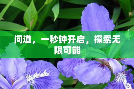 问道，一秒钟开启，探索无限可能