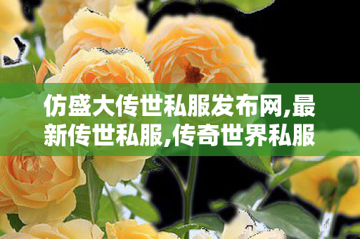 仿盛大传世私服发布网,最新传世私服,传奇世界私服吧,最新传世私服