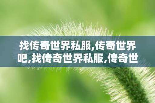 找传奇世界私服,传奇世界吧,找传奇世界私服,传奇世界吧