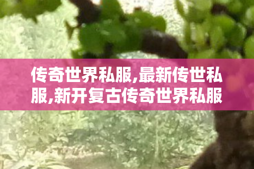 传奇世界私服,最新传世私服,新开复古传奇世界私服,传世私服版本库,新开复古传奇世界私服
