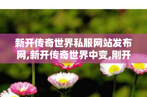 新开传奇世界私服网站发布网,新开传奇世界中变,刚开一秒中变传奇发布网,新开传奇世界中变