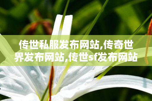 传世私服发布网站,传奇世界发布网站,传世sf发布网站,传奇世界发布网站