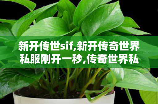 新开传世sif,新开传奇世界私服刚开一秒,传奇世界私发服网站,新开传奇世界私服刚开一秒