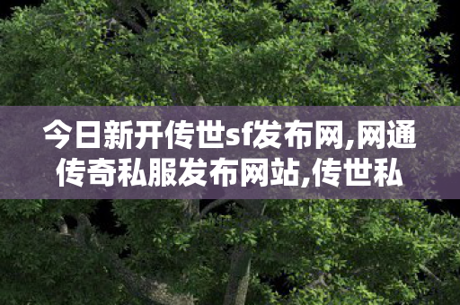 今日新开传世sf发布网,网通传奇私服发布网站,传世私服发布网新区,网通传奇私服发布网站