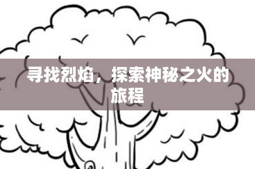 寻找烈焰，探索神秘之火的旅程