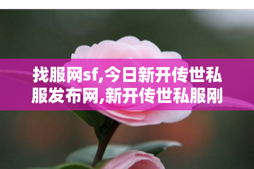 找服网sf,今日新开传世私服发布网,新开传世私服刚开一秒,今日新开传世私服发布网