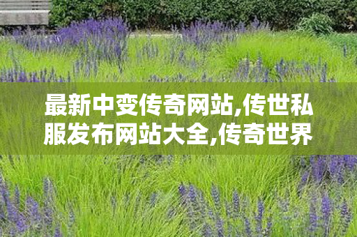 最新中变传奇网站,传世私服发布网站大全,传奇世界新开私服,传世私服发布网站大全