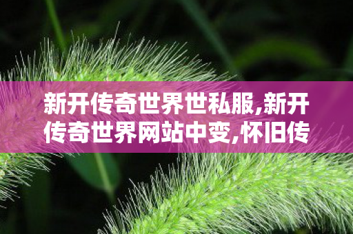 新开传奇世界世私服,新开传奇世界网站中变,怀旧传奇世界私服,新开传奇世界网站中变