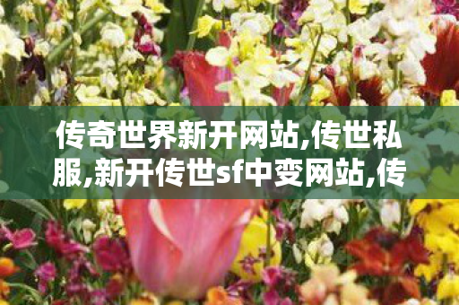 传奇世界新开网站,传世私服,新开传世sf中变网站,传世私服