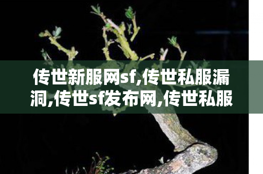 传世新服网sf,传世私服漏洞,传世sf发布网,传世私服漏洞
