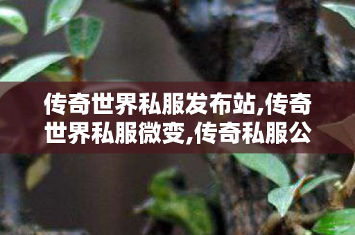 传奇世界私服发布站,传奇世界私服微变,传奇私服公布网,传奇世界私服微变