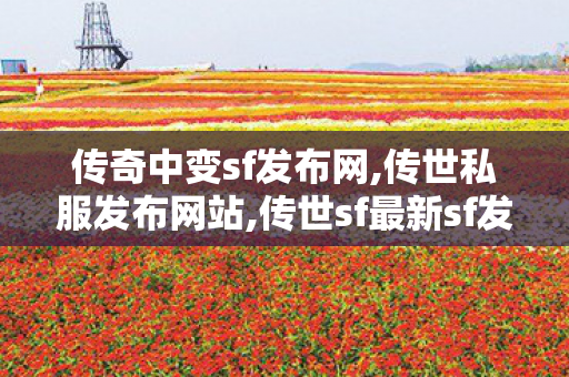 传奇中变sf发布网,传世私服发布网站,传世sf最新sf发布网,传世私服发布网站