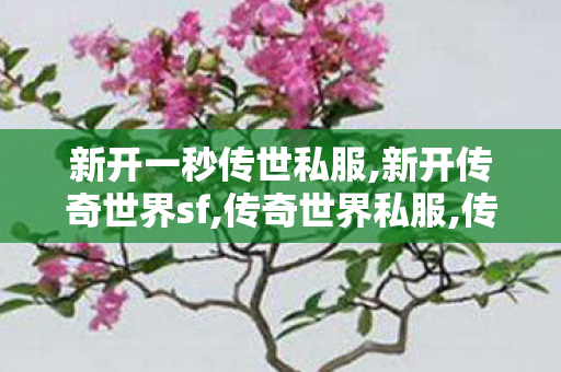新开一秒传世私服,新开传奇世界sf,传奇世界私服,传世私服网,新开传奇世界sf