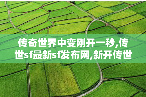 传奇世界中变刚开一秒,传世sf最新sf发布网,新开传世sf网站,传世sf最新sf发布网