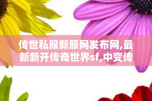 传世私服新服网发布网,最新新开传奇世界sf,中变传世私发服网,最新新开传奇世界sf