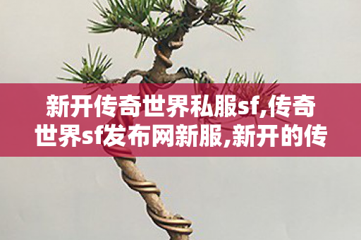 新开传奇世界私服sf,传奇世界sf发布网新服,新开的传奇世界私服,传奇世界sf发布网新服