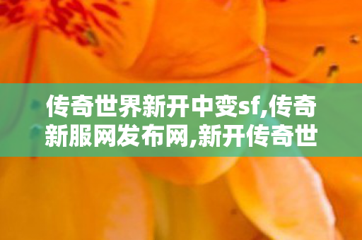 传奇世界新开中变sf,传奇新服网发布网,新开传奇世界私服,传奇新服网发布网