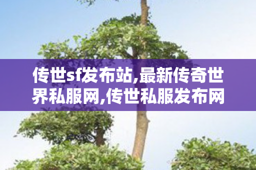 传世sf发布站,最新传奇世界私服网,传世私服发布网新开服,最新传奇世界私服网
