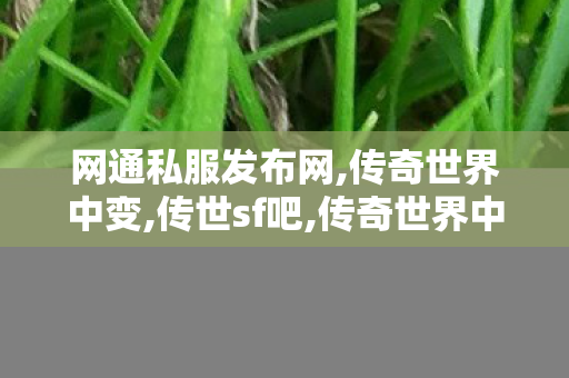 网通私服发布网,传奇世界中变,传世sf吧,传奇世界中变