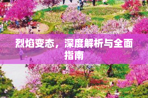 烈焰变态，深度解析与全面指南