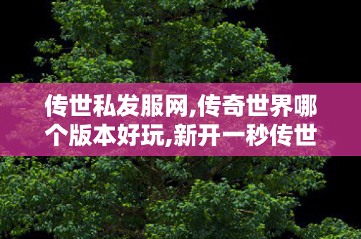 传世私发服网,传奇世界哪个版本好玩,新开一秒传世sf网站,传奇世界哪个版本好玩