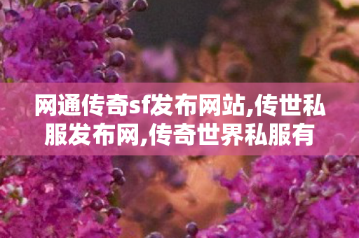 网通传奇sf发布网站,传世私服发布网,传奇世界私服有元神,传世私服发布网