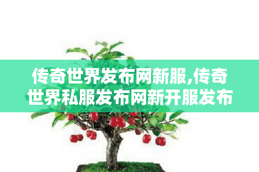 传奇世界发布网新服,传奇世界私服发布网新开服发布吧,传奇世界私服微变,传奇世界私服发布网新开服发布吧
