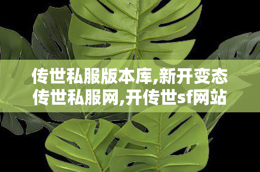 传世私服版本库,新开变态传世私服网,开传世sf网站,新开变态传世私服网