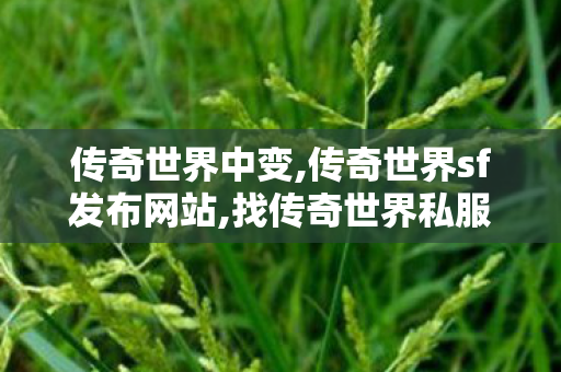 传奇世界中变,传奇世界sf发布网站,找传奇世界私服首区,传奇世界sf发布网站