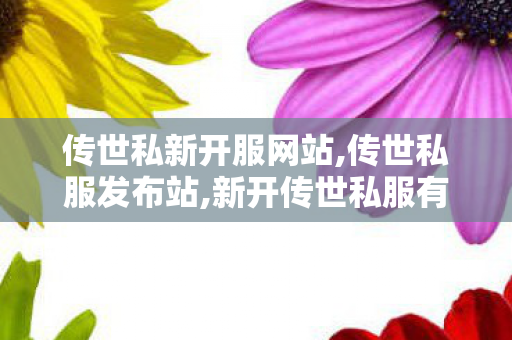 传世私新开服网站,传世私服发布站,新开传世私服有元神,传世私服发布站