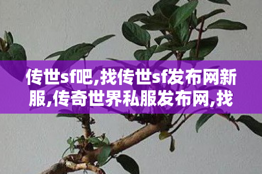 传世sf吧,找传世sf发布网新服,传奇世界私服发布网,找传世sf发布网新服