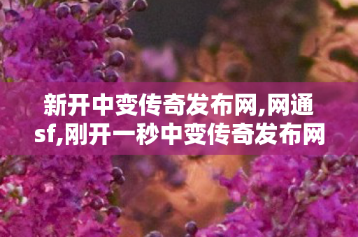 新开中变传奇发布网,网通sf,刚开一秒中变传奇发布网,网通sf