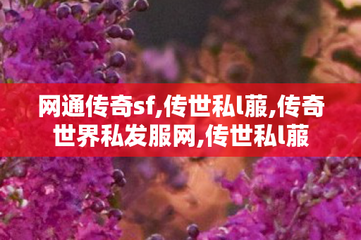 网通传奇sf,传世私l菔,传奇世界私发服网,传世私l菔