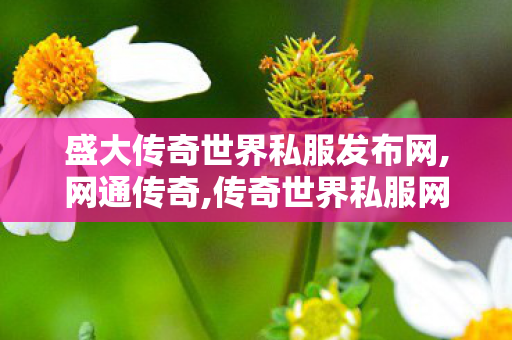盛大传奇世界私服发布网,网通传奇,传奇世界私服网址,网通传奇