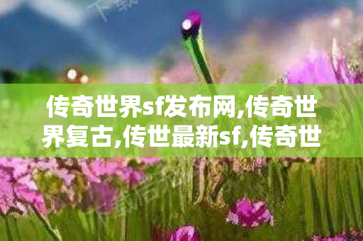 传奇世界sf发布网,传奇世界复古,传世最新sf,传奇世界复古