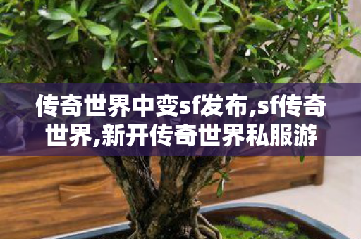 传奇世界中变sf发布,sf传奇世界,新开传奇世界私服游戏发布网,sf传奇世界
