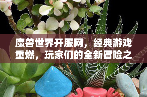 魔兽世界开服网，经典游戏重燃，玩家们的全新冒险之旅