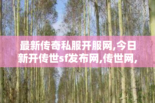 最新传奇私服开服网,今日新开传世sf发布网,传世网,今日新开传世sf发布网