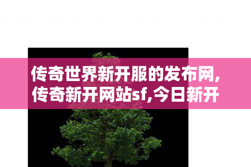 传奇世界新开服的发布网,传奇新开网站sf,今日新开传世私服,传奇新开网站sf