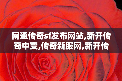 网通传奇sf发布网站,新开传奇中变,传奇新服网,新开传奇中变