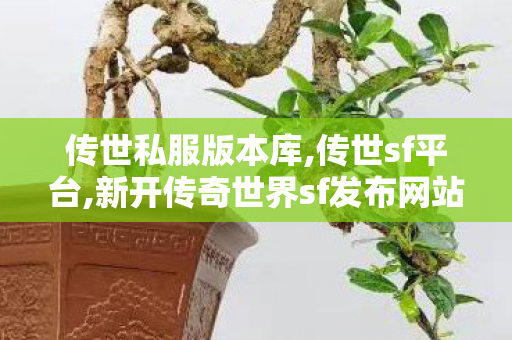 传世私服版本库,传世sf平台,新开传奇世界sf发布网站,传世sf平台