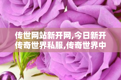 传世网站新开网,今日新开传奇世界私服,传奇世界中变私服,今日新开传奇世界私服