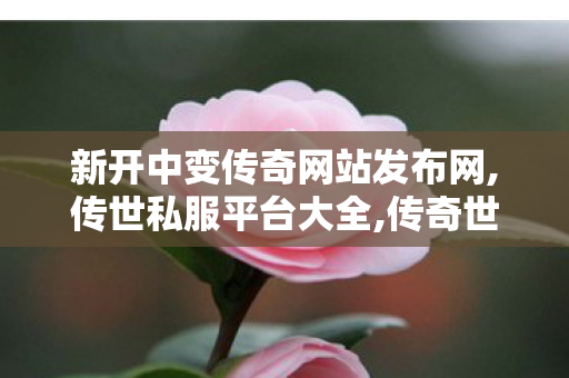 新开中变传奇网站发布网,传世私服平台大全,传奇世界私服发布网大全,传世私服平台大全