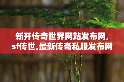 新开传奇世界网站发布网,sf传世,最新传奇私服发布网站,sf传世