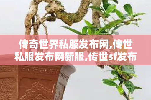 传奇世界私服发布网,传世私服发布网新服,传世sf发布网站,传世私服发布网新服