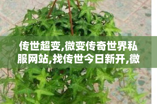 传世超变,微变传奇世界私服网站,找传世今日新开,微变传奇世界私服网站
