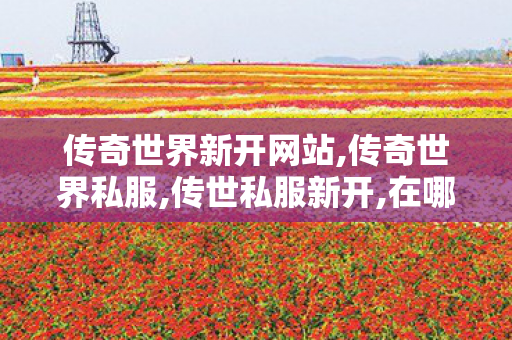 传奇世界新开网站,传奇世界私服,传世私服新开,在哪找传奇私服,传奇世界私服,传世私服新开