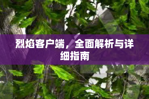 烈焰客户端，全面解析与详细指南